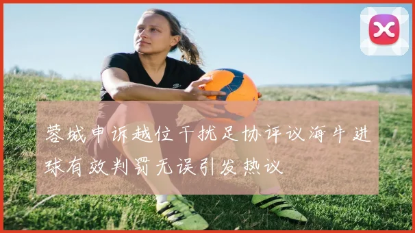 蓉城申诉越位干扰足协评议海牛进球有效判罚无误引发热议
