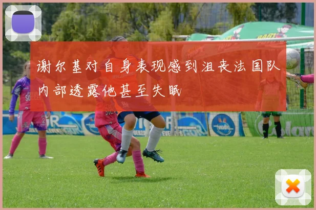 谢尔基对自身表现感到沮丧法国队内部透露他甚至失眠